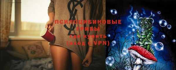apvp Верея