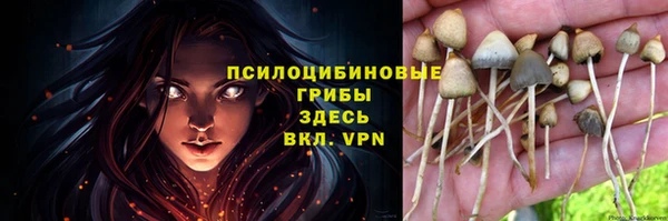 дживик Верхнеуральск