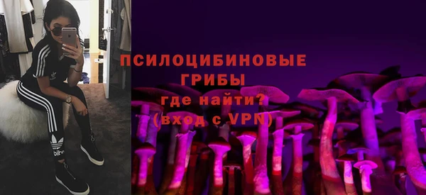 MDMA Premium VHQ Богородицк