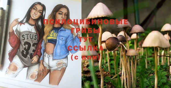 мескалин Верхний Тагил